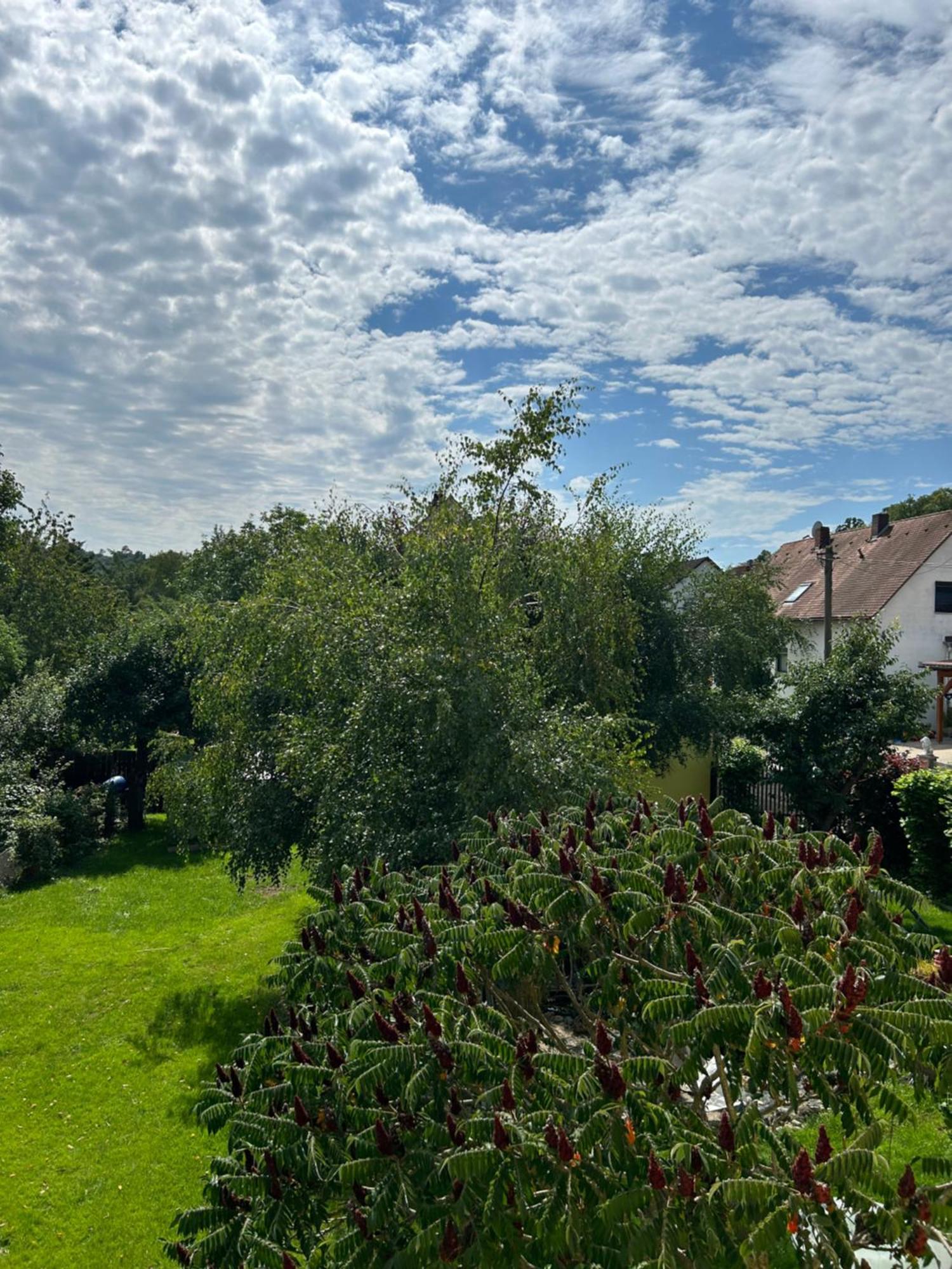 Ferienwohnung Zur Roni Treuchtlingen Extérieur photo